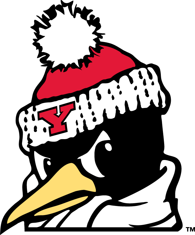 Youngstown State Penguins 1993-Pres Alternate Logo v6 diy fabric transfer